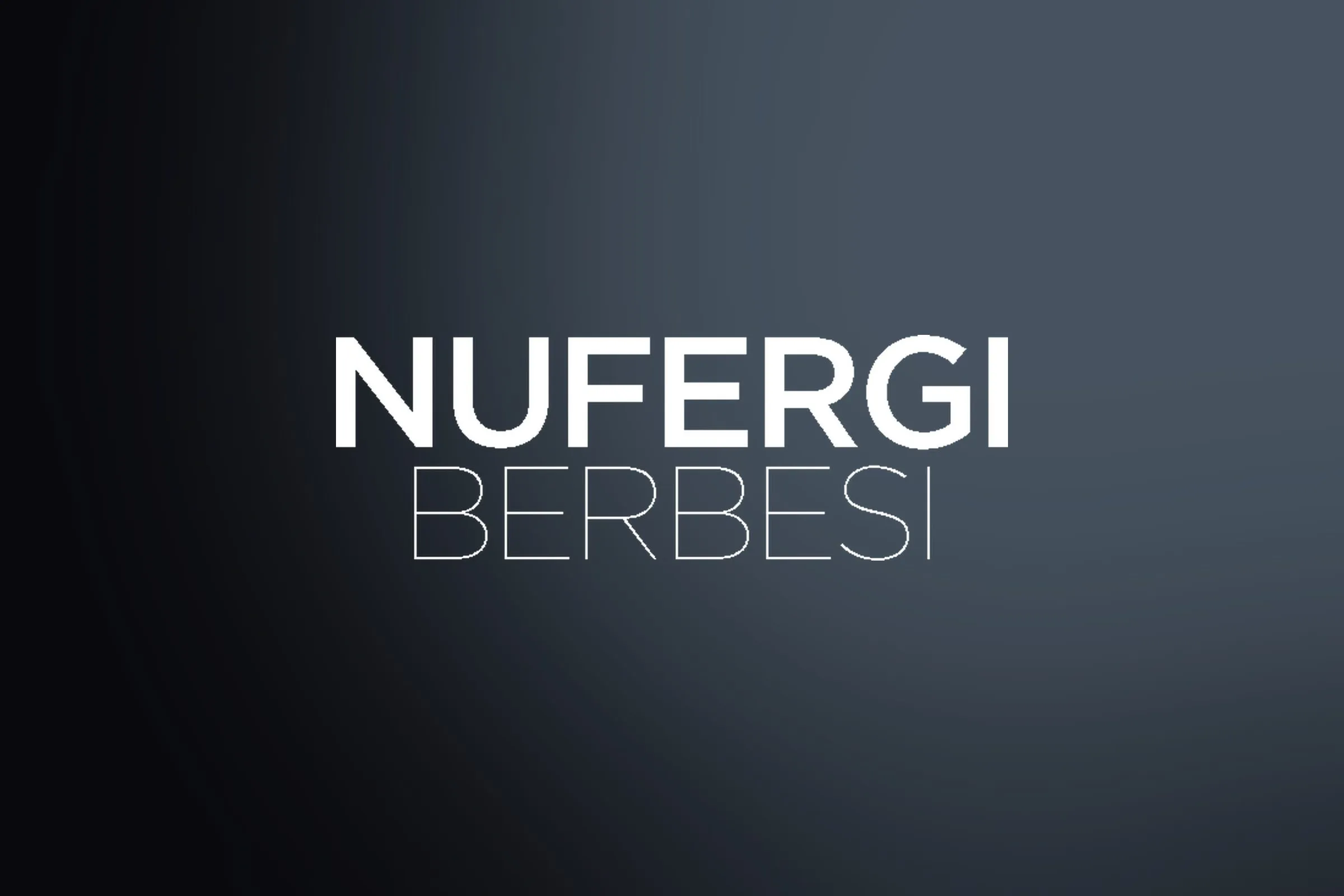 Nufergi Berbesi: Presencia profesional