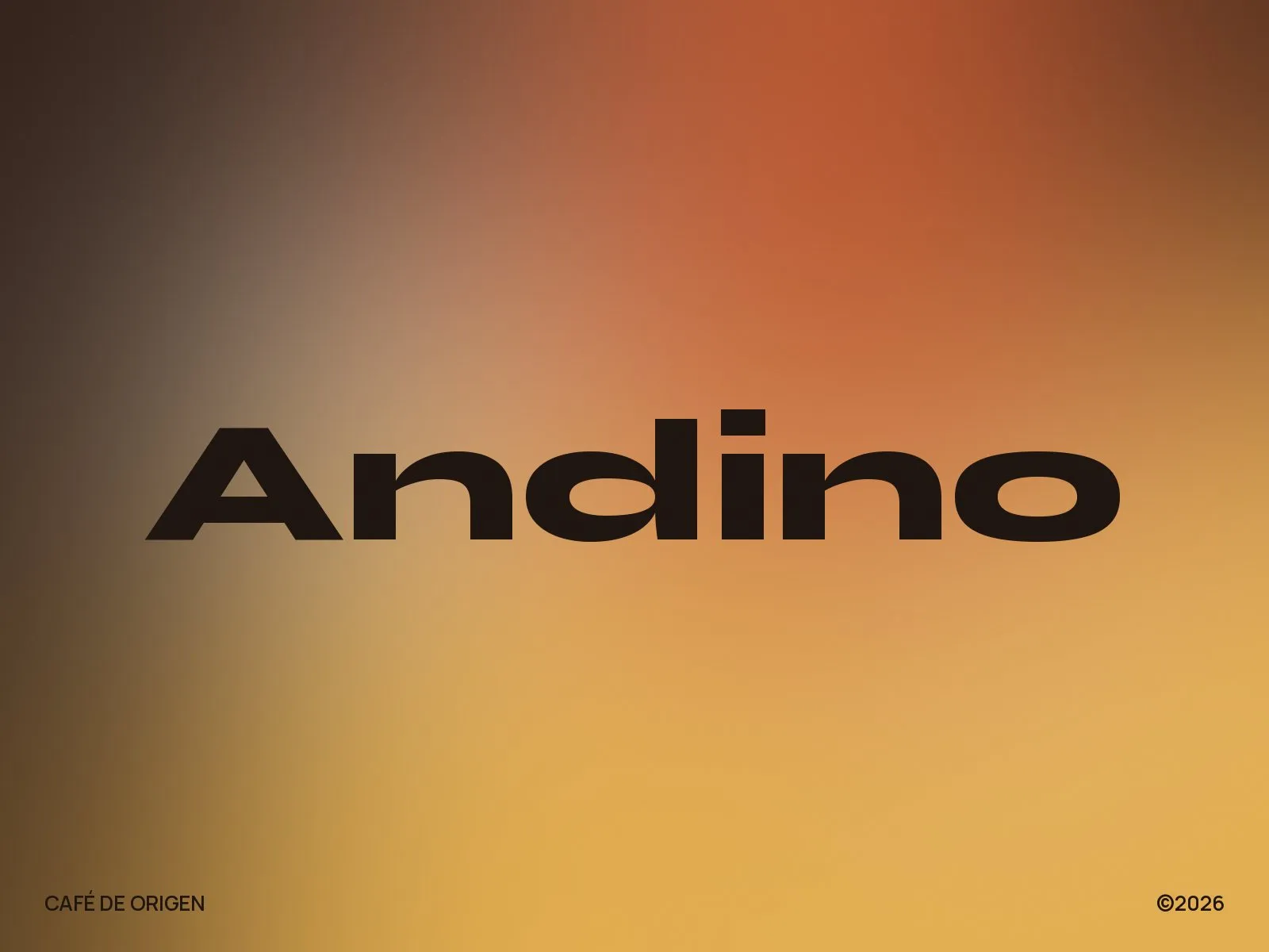 Café Andino: Del grano a la taza
